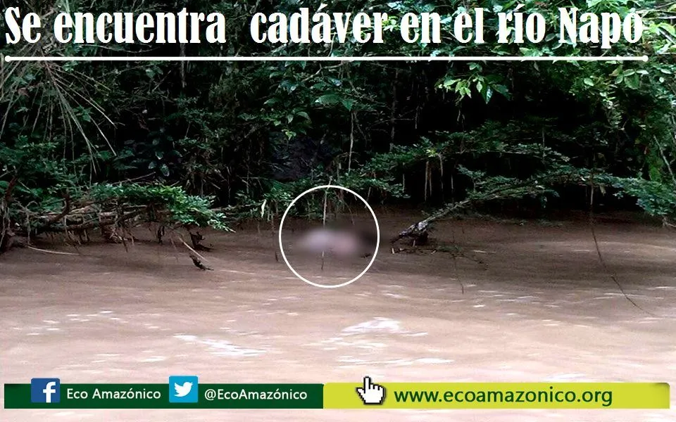 Se encuentra posiblemente a la persona que desapareció en Misahuallí en la isla Sán Rafael