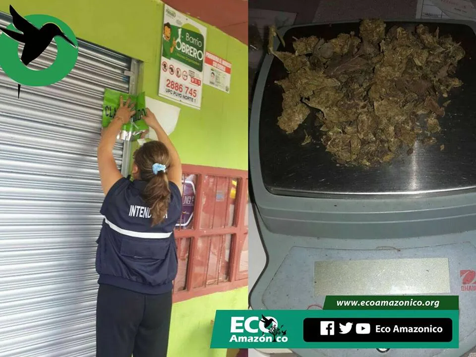 Intendenta, sobre clausura de un bar el que se encontró droga