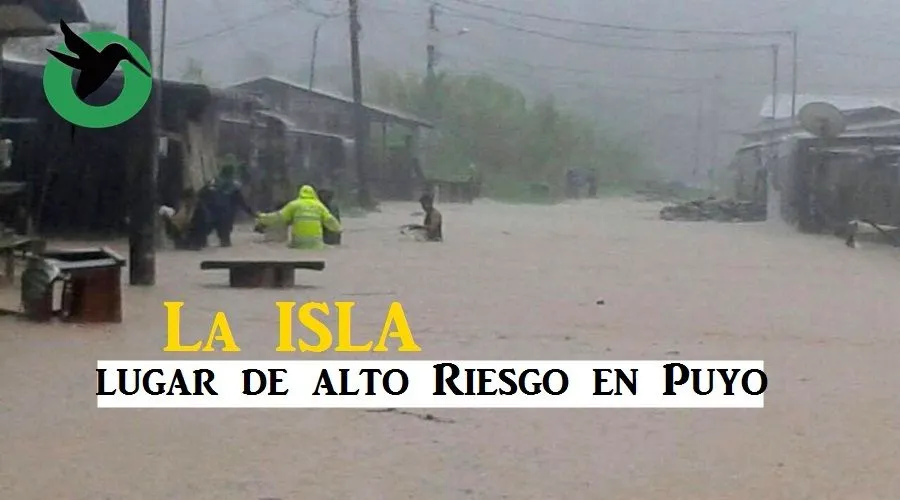 Alcalde "En la Isla no es posible legalizar a los posesionaros"