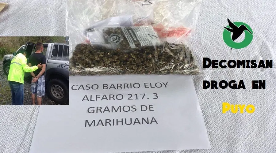 Decomisan droga en Puyo