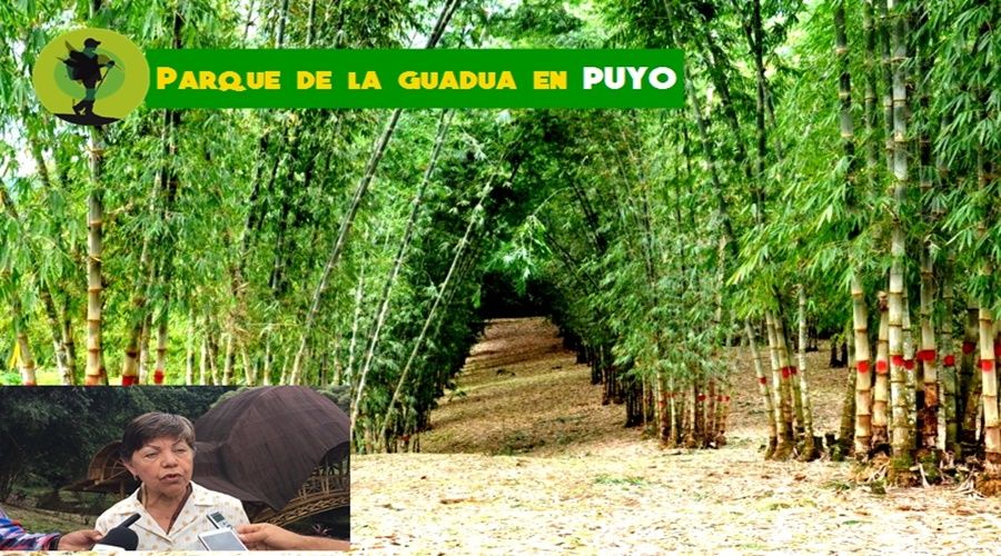 Parque de la Guadua Puyo