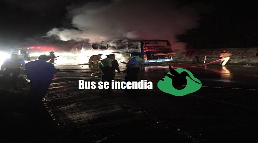 Bus de la Cooperativa Pelileo se incendia