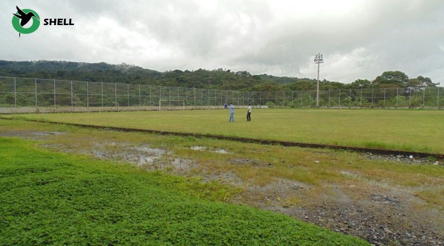 Estadio de Shell tendrá césped sintético