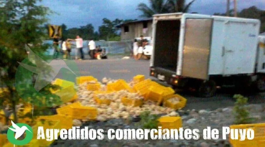 Comerciantes de Puyo agredidos en Napo