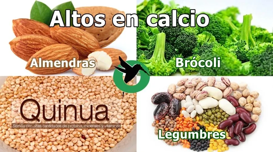 La importancia del calcio en el cuerpo