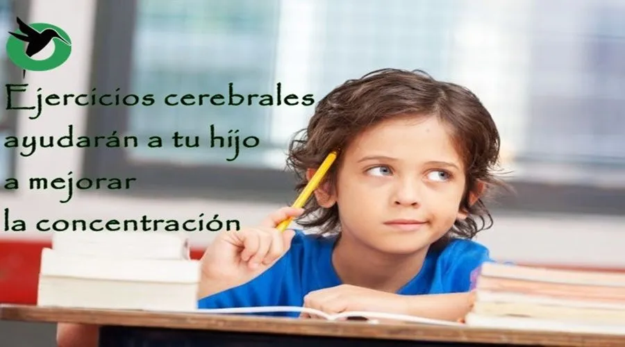 Ejercicios cerebrales