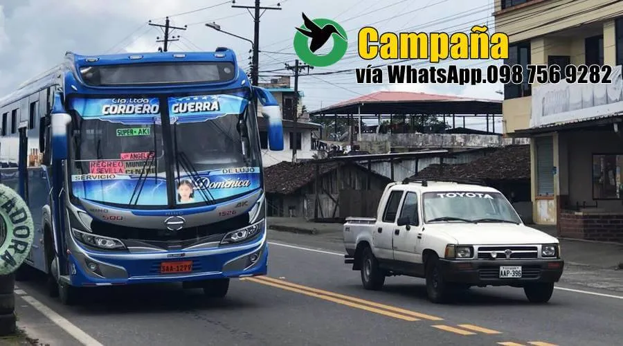 Campaña Vía WhatsApp.