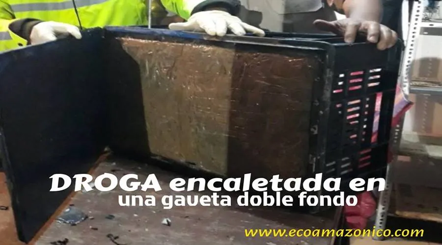 Se encuentra droga en un bus interprovincial en puyo