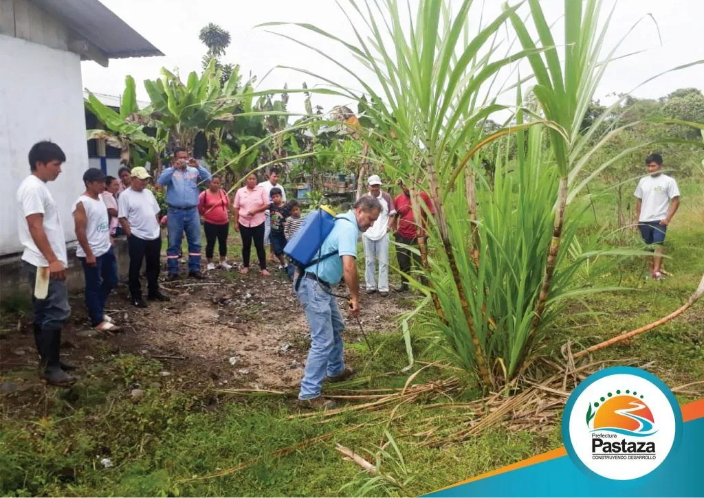 Taller de capacitación en contra de las plagas