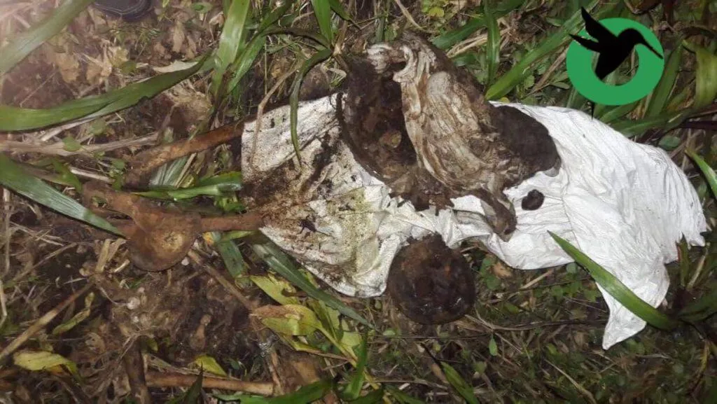 Encuentran huesos humanos en la vía La Encañada