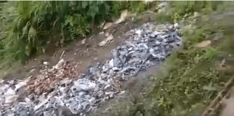 Denuncian que la ciudadanía bota mucha basura en lugares turísticos