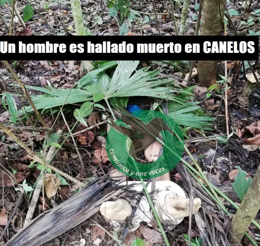 Persona es asesinada en Canelos con un disparo
