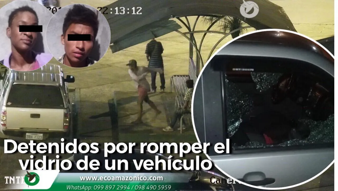 Capturan a personas por romper el vídeo de un vehículo y robar una cartera