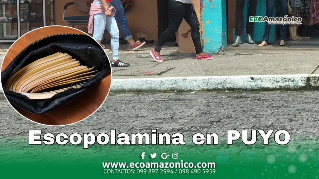 Roban a una mujer por medio de la escopolamina en Puyo