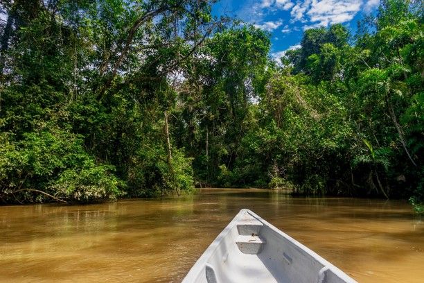 Amazonia: Una región productiva