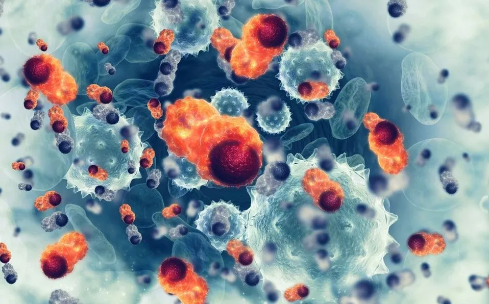 Crean láser que puede encontrar y destruir células cancerígenas en la sangre