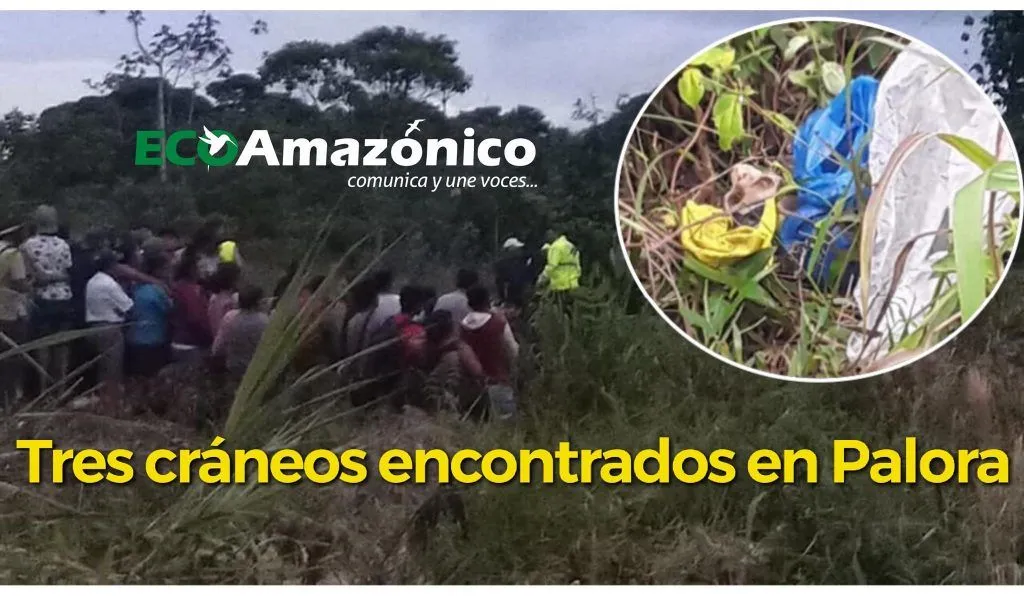 Tres cráneos fueron encontrados en Palora