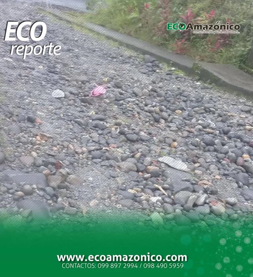 Piden ayuda al Municipio de Pastaza tema víal