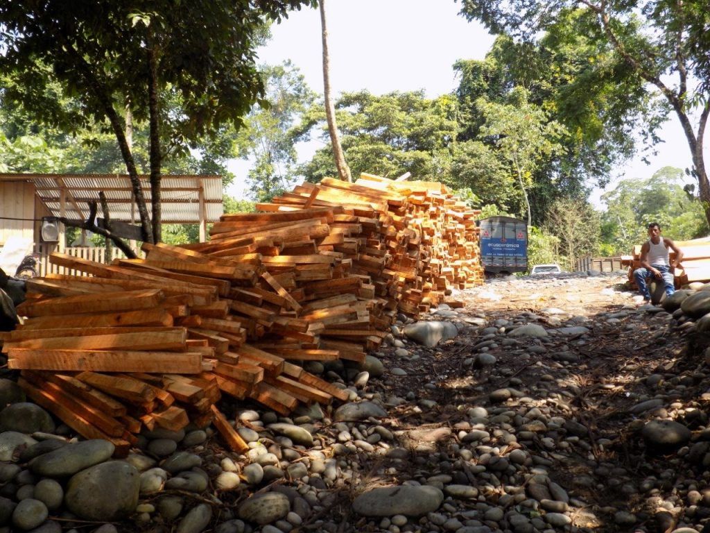 Deforestación ilegal en territorio Achuar