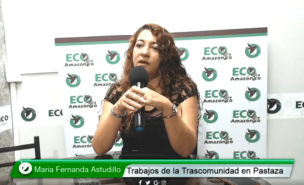 Centro de revisión vehicular en Puyo valdría alrededor de $800.000