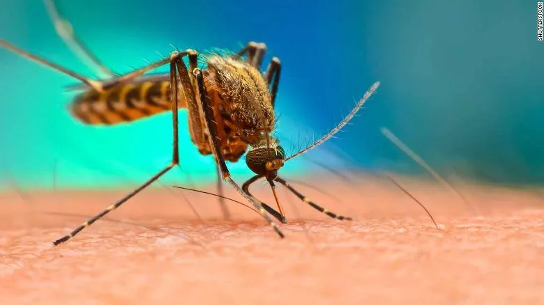 Se informa sobre los 8 casos de dengue en Puyo