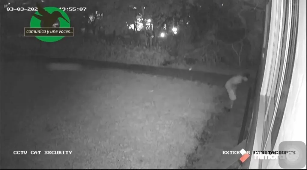 Hurto en una vivienda de Puyo captado en cámaras de Seguridad