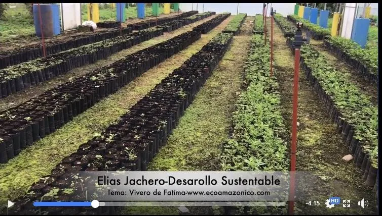 Vivero de Fatima que maneja la Prefectura de Pastaza