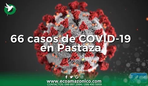 66 CASOS DE COVID19