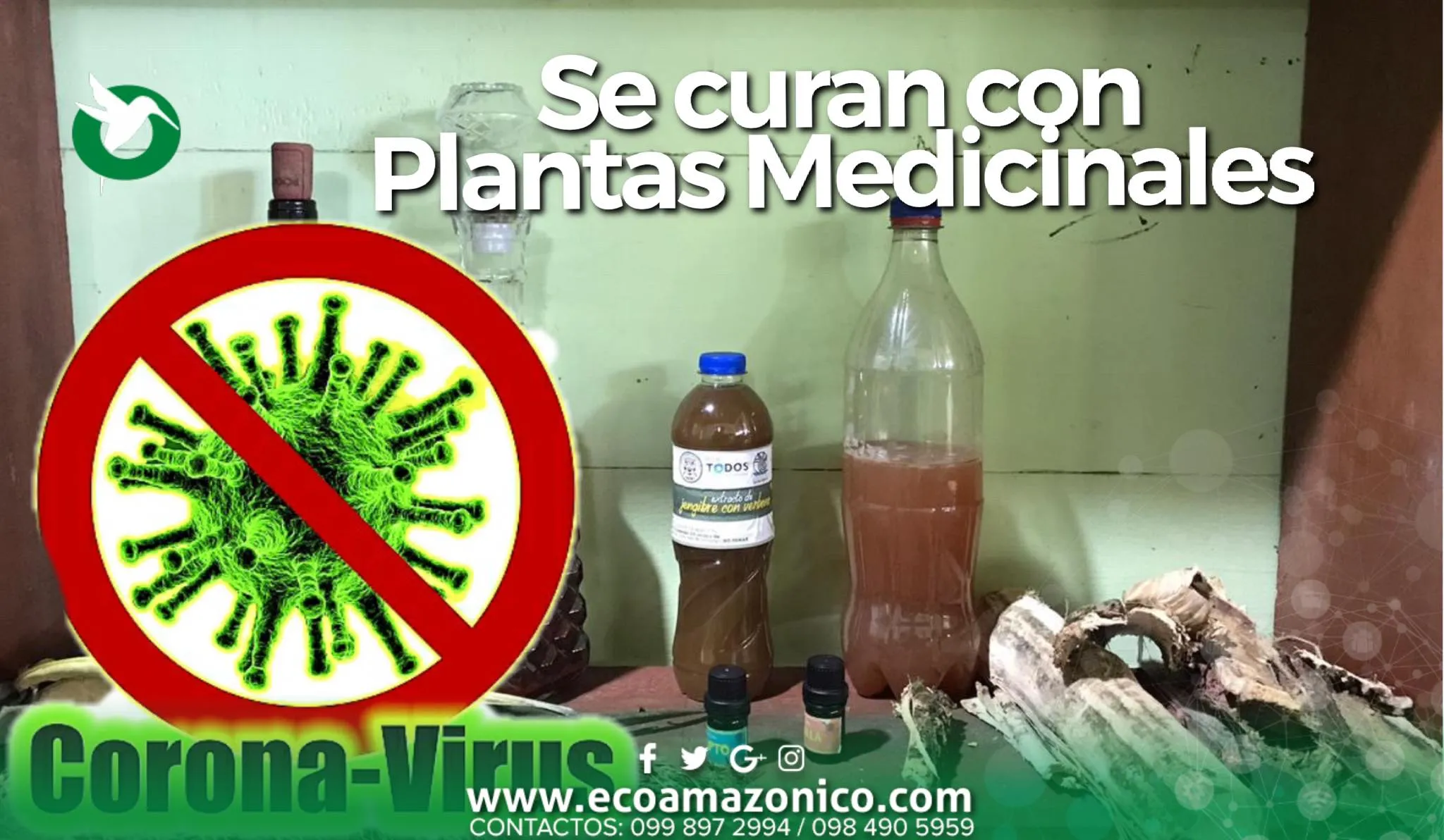 Se curan del COVID-19 con Plantas Medicinales en Pastaza