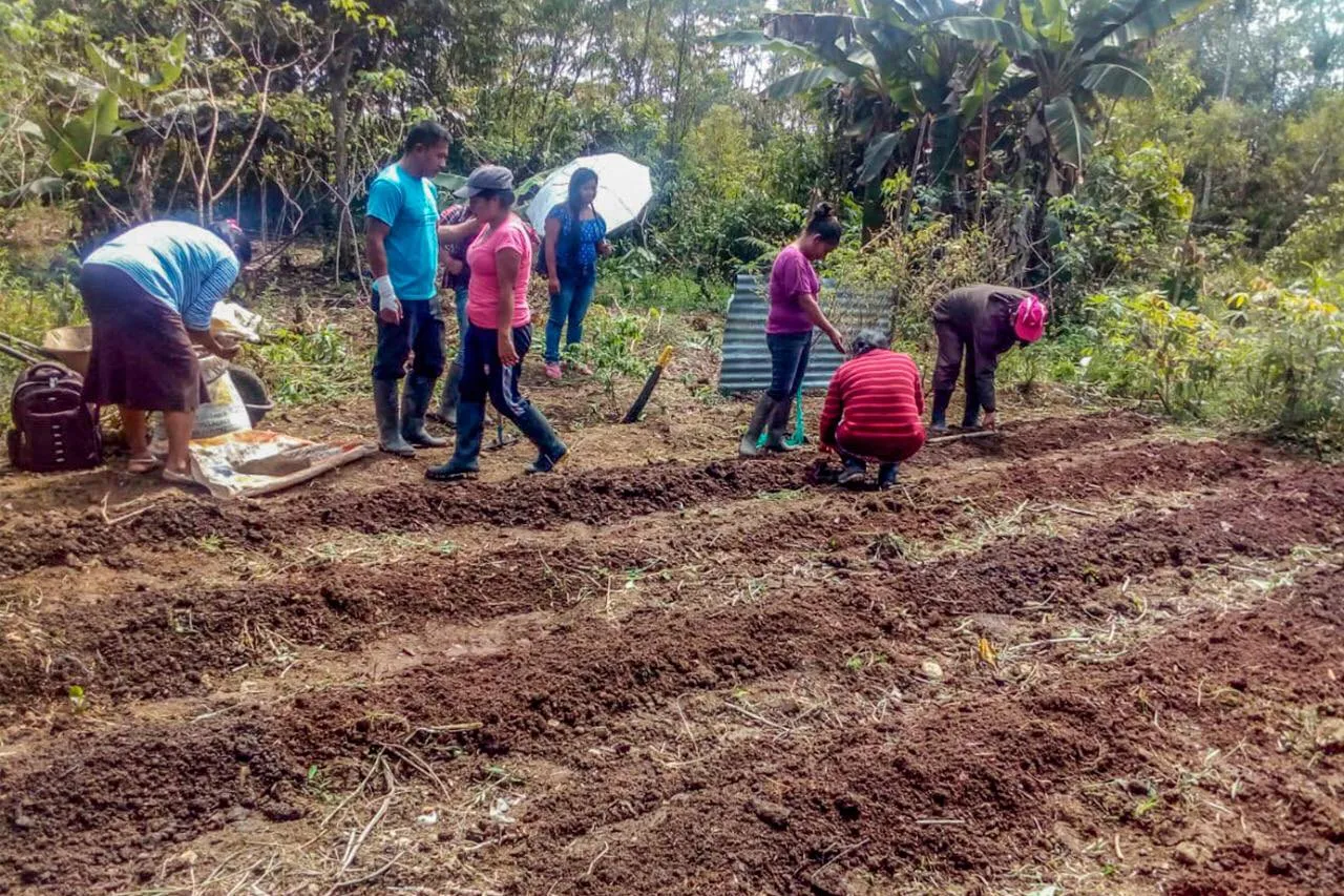 Prefectura de Pastaza fortalece las fincas integrales