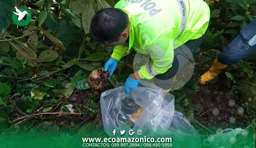 Encuentran osamenta en río negro