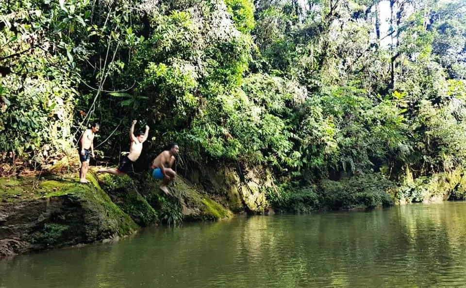 Muyu Semilla de Selva