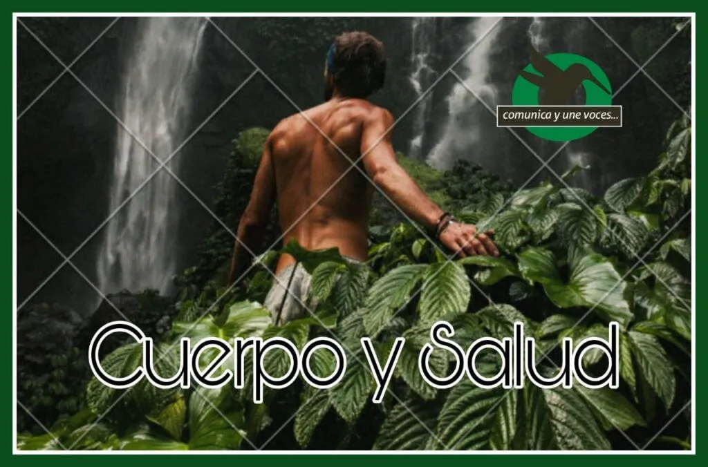Recomendaciones para un Cuerpo Saludable