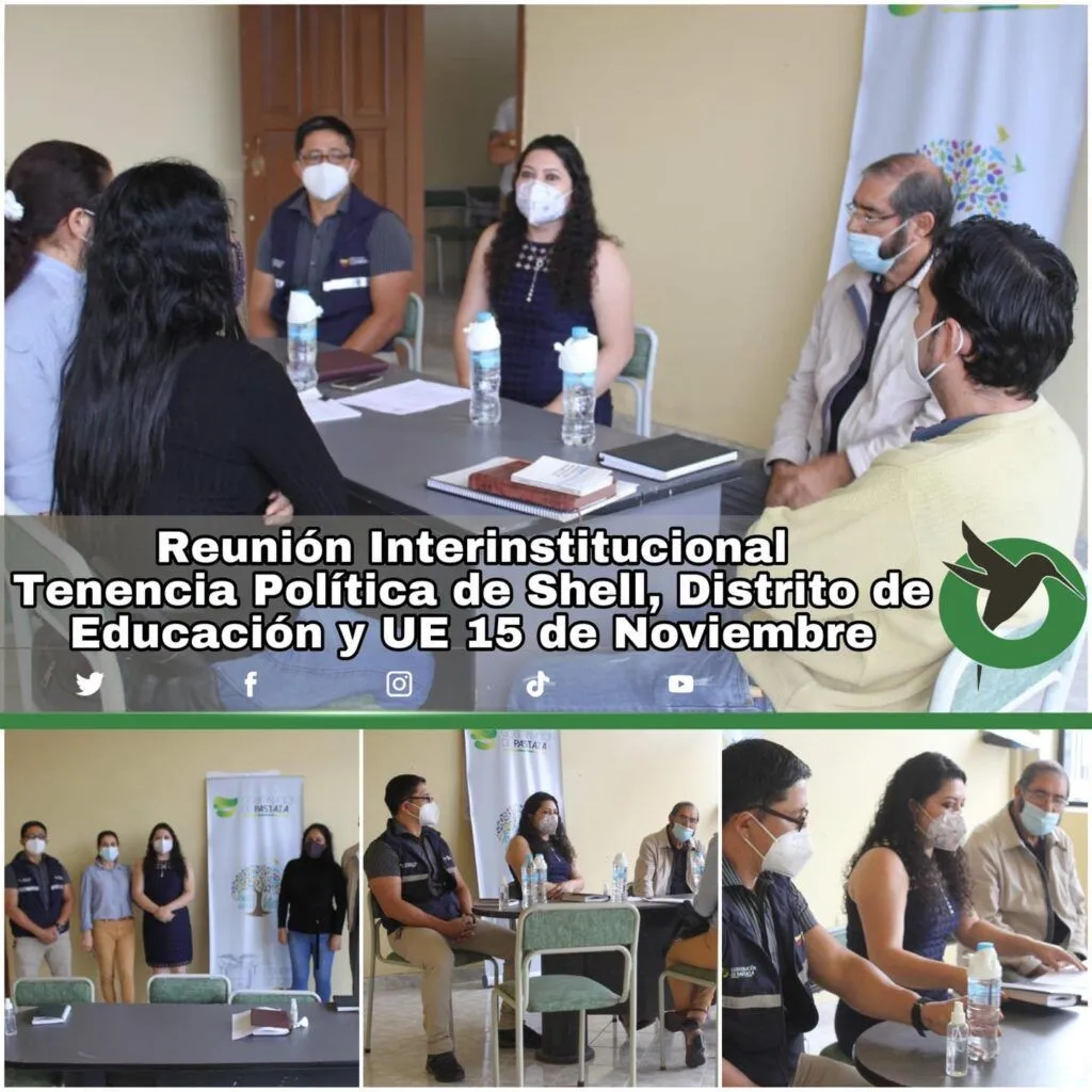 Reunión Interinstitucional, Tendecia Política de Shell