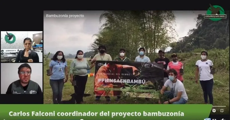 Carlos Falconi coordinador del proyecto Bambuzonía
