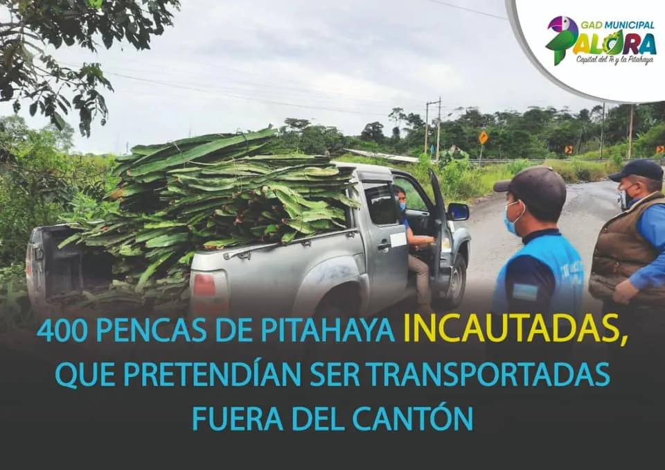 GOLPE AL CONTRABANDO DE PENCAS DE PITAHAYA