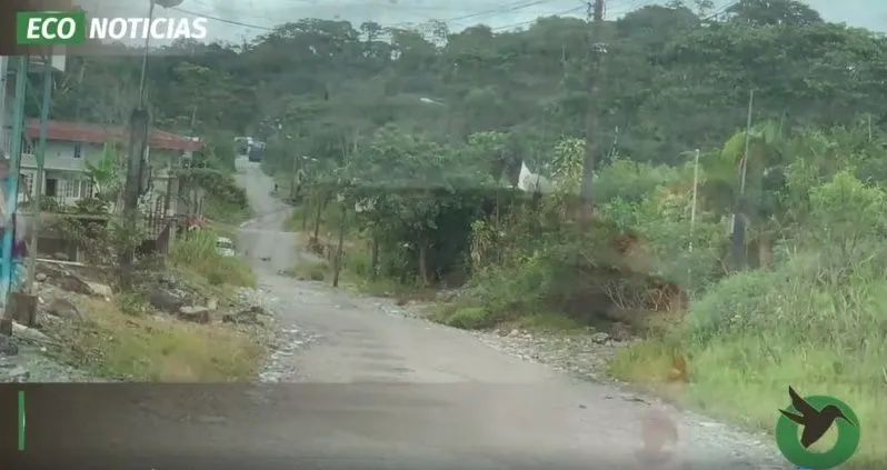 FUERTE MORDIDA DE PERRO A UNA CIUDADANA