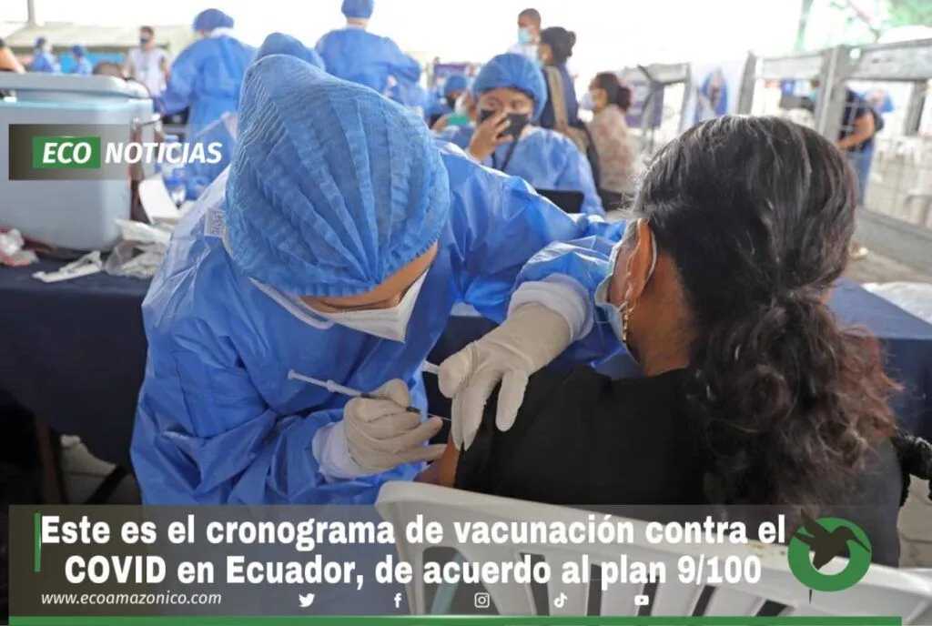 El Ministerio de Salud hizo público este domingo su cronograma de vacunación del plan 9/100 de acuerdo a las tres fases: Salvamos Vidas, Nos Cuidamos, Nos Reactivamos, según la ministra de Salud Pública, Ximena Garzón. Según la planificación, este proceso se realizará entre el 31 de mayo y 15 de julio de 2021. Desde el lunes 31 se completarán las segundas dosis a quienes ya recibieron una primera inoculación. Y se vacunará a mayores de 80 años que aún no han recibido la vacuna. El Ministerio ha señalado que en ese periodo se dará prioridad a las personas que tengan ese rango de edad, pero con condiciones graves, discapacidades y enfermedades crónicas. Las autoridades han habilitado 950 brigadas y más de 300 centros de vacunación distribuidos en las 24 provincias del país. Desde este lunes 31 de mayo hasta el 6 de junio se seguirá con las vacunaciones de segunda dosis a quienes se vacunaron la primera semana de mayo. Y hay un calendario para vacunaciones de primera dosis de acuerdo a rango de edades. Segunda dosis para vacunados anteriores Segunda dosis Vacunados de primera dosis Lunes 31 de mayo Personas que se vacunaron el 01 de mayo Martes 1 de junio Personas que se vacunaron el 02 de mayo Miércoles 2 de junio Personas que se vacunaron el 03 de mayo Jueves 3 de junio Personas que se vacunaron el 04 de mayo Viernes 4 de junio Personas que se vacunaron el 05 de mayo Sábado 5 de junio Personas que se vacunaron el 06 mayo y REZAGADOS Domingo 6 de junio Personas que se vacunaron el 07 mayo y REZAGADOS Vacunación de primera dosis Primera dosis Ciudadanos sin vacunar Lunes 31 de mayo Mayores de 80 años Martes 1 de junio 79 y 78 años Miércoles 2 de junio 77 y 76 años Jueves 3 de junio 75 y 74 años Viernes 4 de junio 73 y 72 años Sábado 5 de junio REZAGADOS Mayores de 72 años Domingo 6 de junio REZAGADOS Mayores de 72 años El Gobierno ha implementado un link de consulta para conocer el lugar de vacunación contra el COVID-19. Seguimiento de Fase 1 Fase 1: Del 31 de mayo al 15 de junio de 2021 Mayores de 65 años. Personas de 50 a 64 años con condiciones graves, discapacidad y enfermedades crónicas. Personal de salud. Personas que trabajan o viven en condiciones de alto riesgo de contagio. Fase 1: Del 15 de junio al 15 de julio de 2021 Personas de 50 a 64 años. Personas de 16 a 49 años con condiciones graves, discapacidad y enfermedades crónicas. Personas que trabajan en los sectores estratégicos. Inicio de Fase 2 Fase 2: Del 15 de julio al 30 de agosto de 2021 Personas de 16 a 49 años. Población en situación de movilidad (migrantes). Comienza Fase 3 Fase 3: Del 1 al 5 de septiembre de 2021 Rezagados de las fases anteriores. De acuerdo a las autoridades sanitarias, en las próximas semanas llegarán 3′700.000 dosis de vacunas de las diferentes farmacéuticas: Sinovac, AstraZeneca y Pfizer. Hasta el viernes 28 de mayo, el Ministerio de Salud Pública (MSP) registró un total de 2′172.656 personas vacunadas contra el COVID-19. De ellas, 1′538.178 recibieron la primera dosis y 634.478 completaron la segunda dosis. (I)