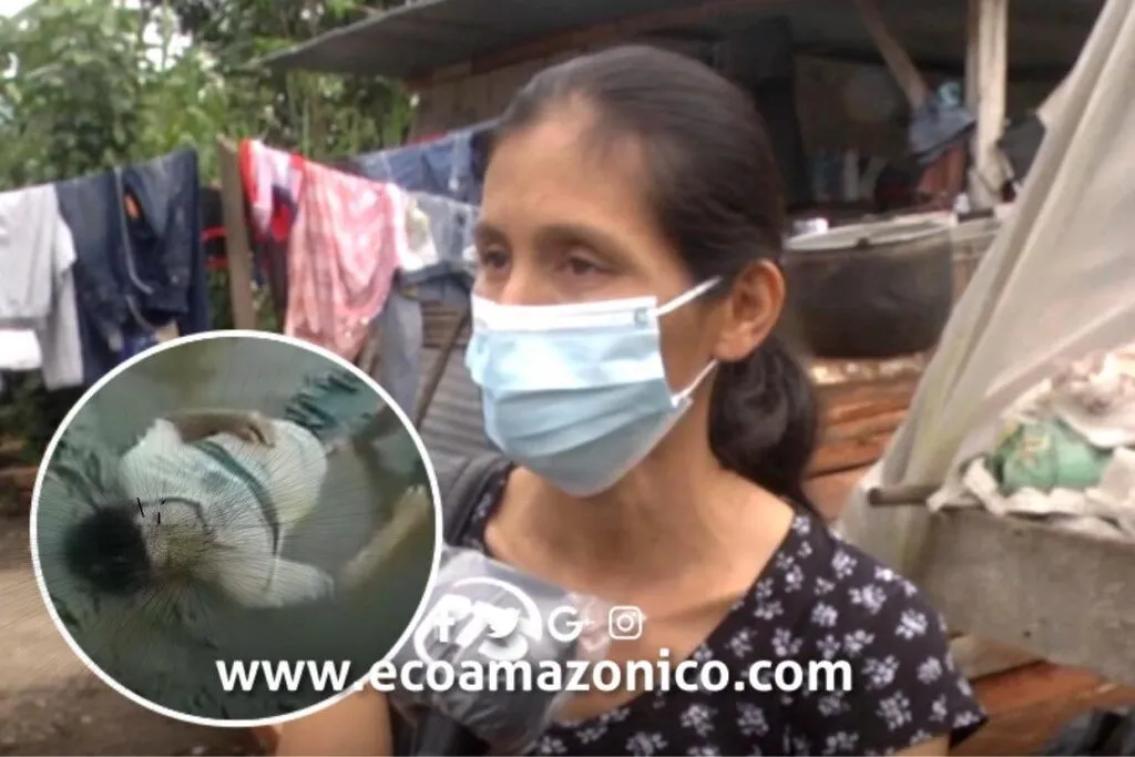 Padre e hijo mueren ahogados en Arosemena Tola- Napo