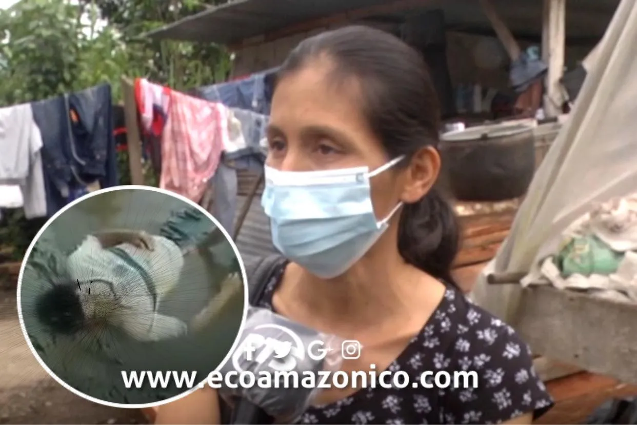 Padre e hijo mueren ahogados en Arosemena Tola- Napo