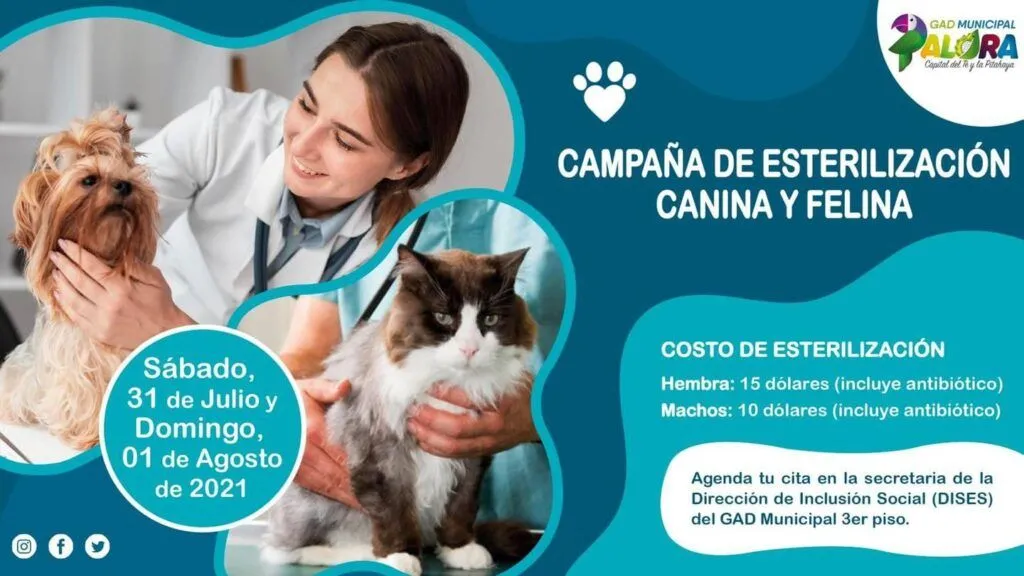 CAMPAÑA DE ESTERILIZACIÓN CANINA Y FELINA