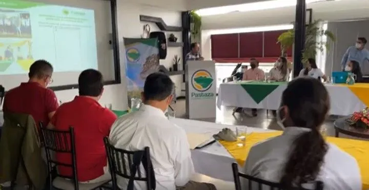Reunión de la mesa técnica de ONGS de la Provincia