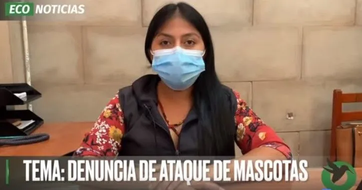 RESPUESTA DE ATAQUE DE DOS MASCOTAS