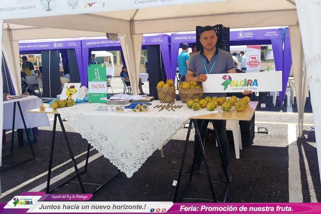 Representantes de la Unidad Técnica de la Pitahaya, participaron de la Feria “Sabores y Saberes”