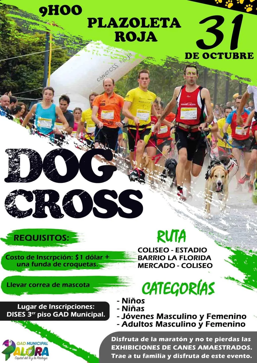 Dog Cross Palora 2021