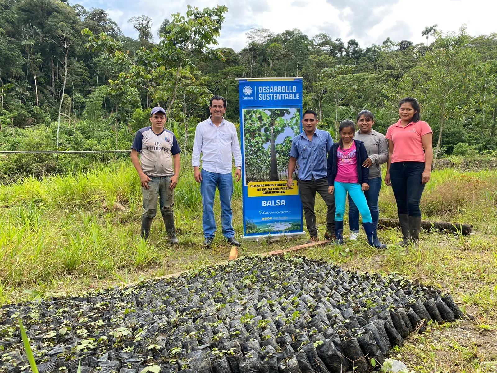 Prefectura implementa proyecto siembra de la balsa en Pastaza