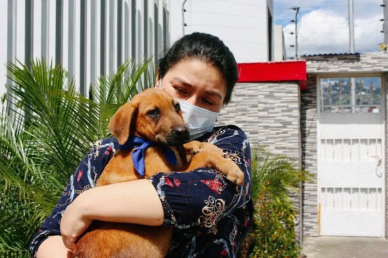 Denuncias por campañas de adopción de mascotas del GAD de Pastaza