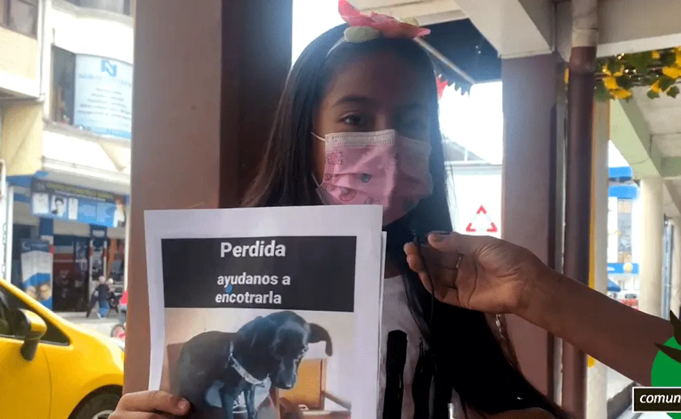 Niña está buscando a su mascota en Puyo