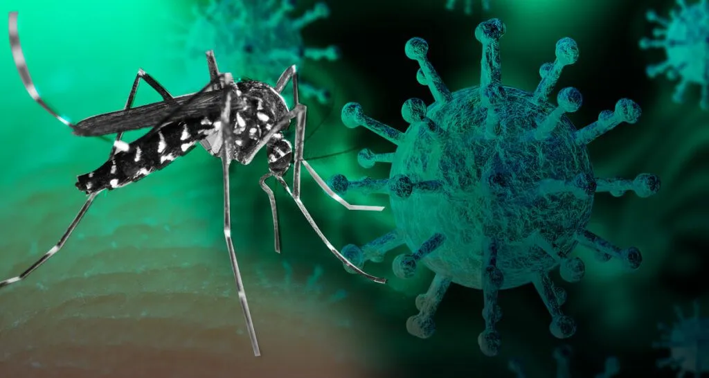 310 casos de Dengue en Pastaza