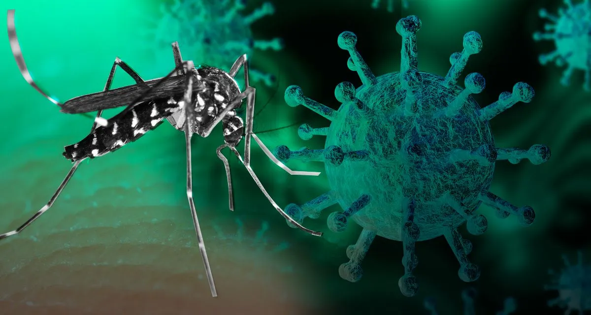 310 casos de Dengue en Pastaza